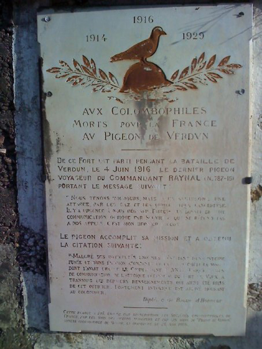 Memorial Plaque to Valiant; the pigeon who tried to save Fort Vaux - Image courtesy of Chris Kempshall